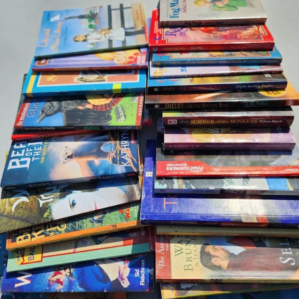 4 Book Bundle Lot Set Chapter Books Young Adult Literature Novels Mystery Books